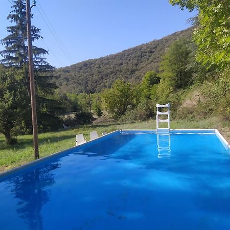 Bed and Breakfast La Grenouille Valleraugue Exterior foto